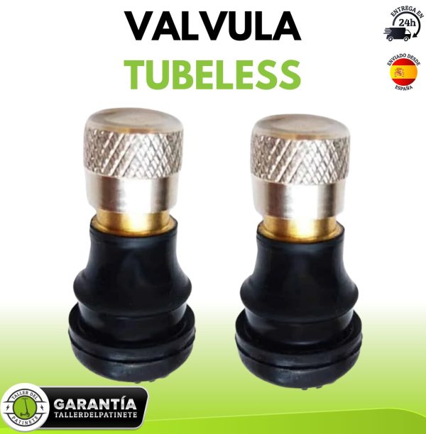 valvula tubeless