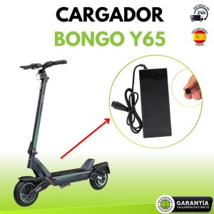 Cargador bongo y65