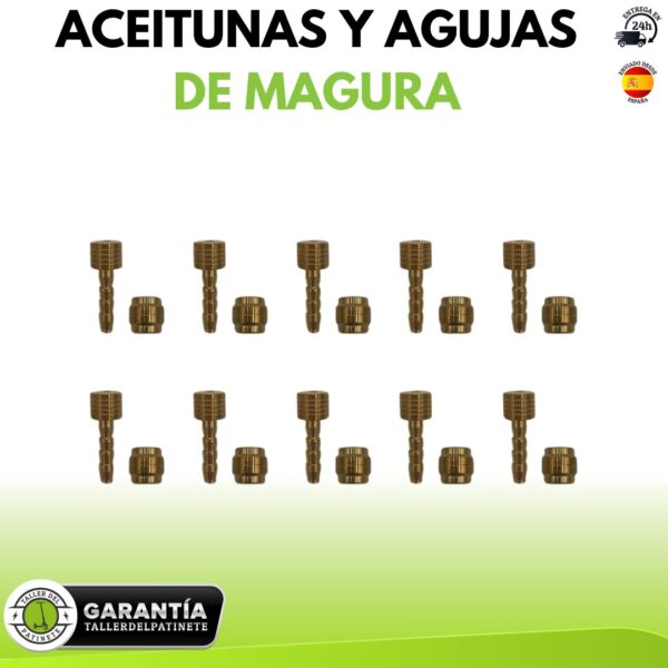 Aceitunas y Agujas de Magura