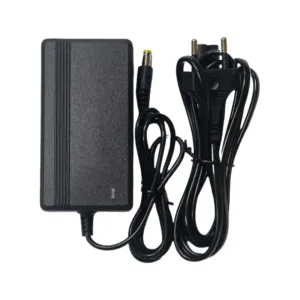 Cargador de batería de plomo 12V 1A con conector DC2.1 para patinetes eléctricos, juguetes y equipos compatibles.